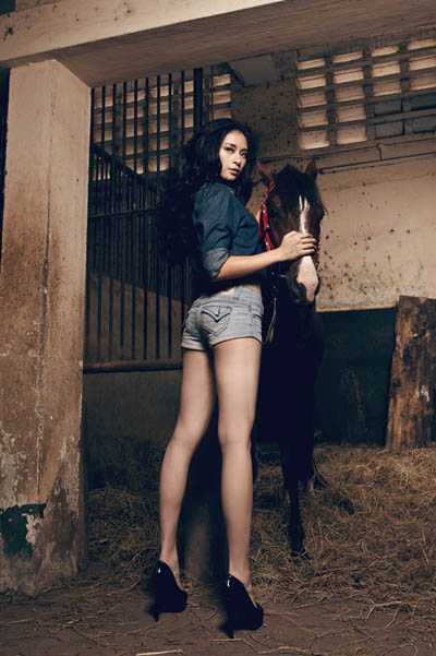 Ng&ocirc; Thanh V&acirc;n , H&agrave; Việt Dũng